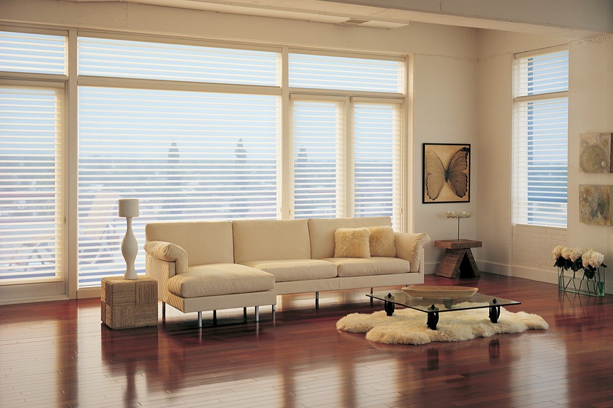 Silhouette Sheer Shades, Hunter Douglas Window Treatments at North County Blinds near Encinitas, California (CA)